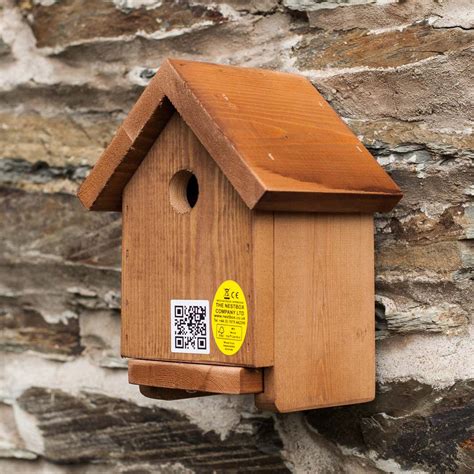 where to site a bird box